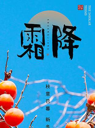 秋意已暮霜降節氣海報