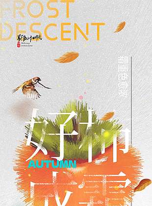 好柿成霜传统节气霜降海报