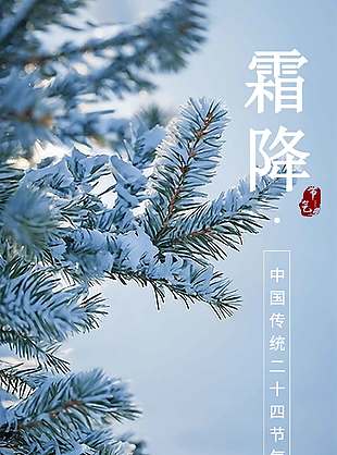 清冷静谧霜降节气海报