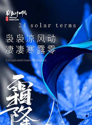 清冷高級霜降節氣海報