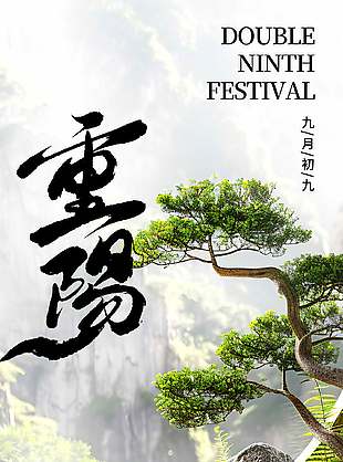 创意清新中国传统九九重阳节海报