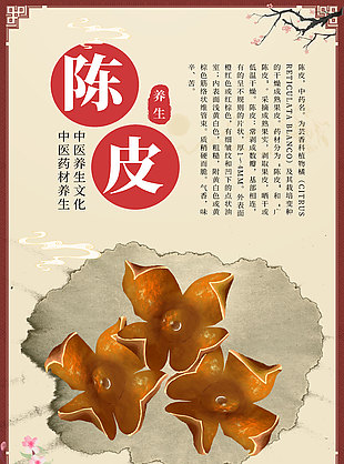 中醫藥材陳皮藥理知識宣傳海報