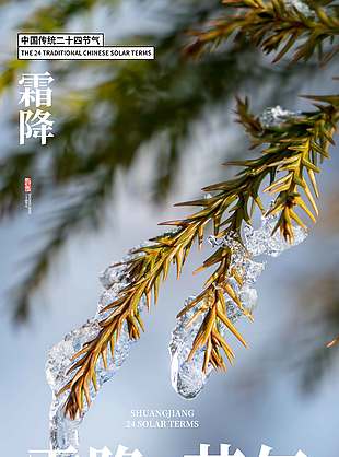 清新攝影風霜降節氣海報