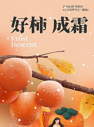 卡通风好柿成霜霜降节气海报