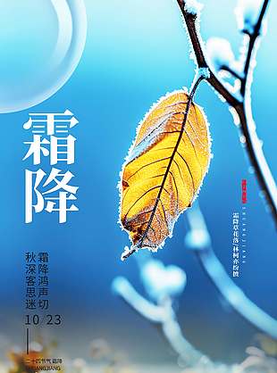 藍(lán)色清涼蕭瑟霜降節(jié)氣海報(bào)