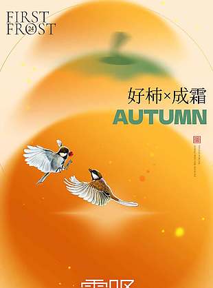 好柿成霜传统节气霜降海报