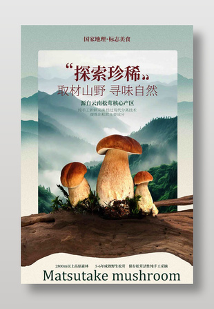 取材山野尋味自然松茸食材宣傳海報