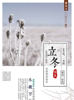 冬藏万物立冬节气海报