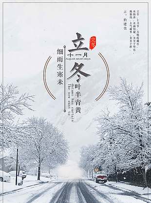 唯美浪漫冬季雪景立冬节气海报