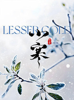 雪落知寒意小寒節氣傳統文化海報