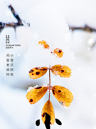 雪花款款來中國傳統小雪節氣海報