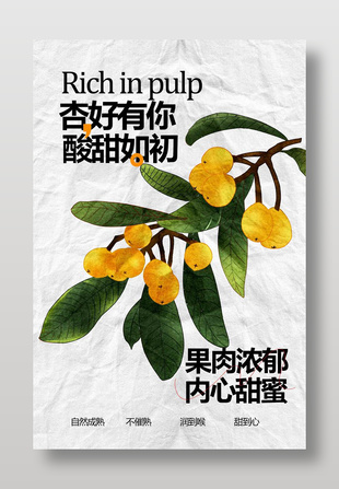 杏好有你酸甜如初水果杏子海报