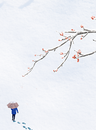 极简风静谧冬日氛围感雪地背景