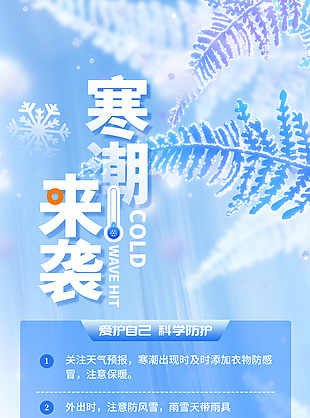 寒潮來襲科學(xué)防護(hù)公益宣傳海報(bào)