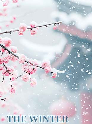 清雅意境傳統(tǒng)二十四節(jié)氣冬至海報