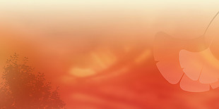 暖色調清新唯美銀杏葉詩意背景