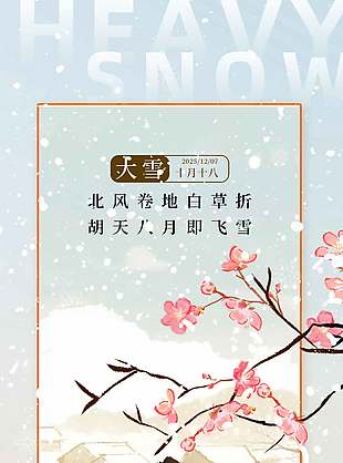 古韻詩意傳統二十四節氣大雪海報