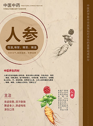 中醫養生藥學人參藥理知識海報