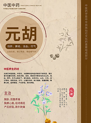 中醫養生藥學元胡藥理知識海報
