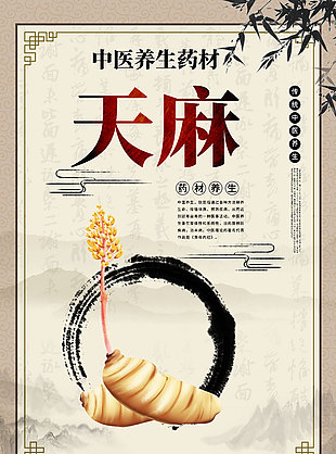 傳統養生藥草天麻藥理知識海報