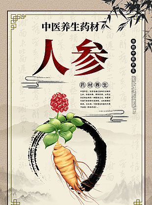 傳統養生藥草人參藥理知識海報