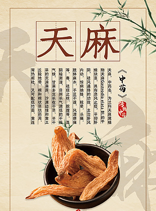 簡約中醫文化天麻藥理知識海報