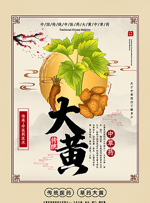 中藥醫術大黃藥理知識宣傳海報