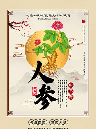 中藥醫術人參藥理知識宣傳海報