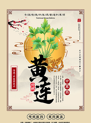 中藥醫術黃連藥理知識宣傳海報