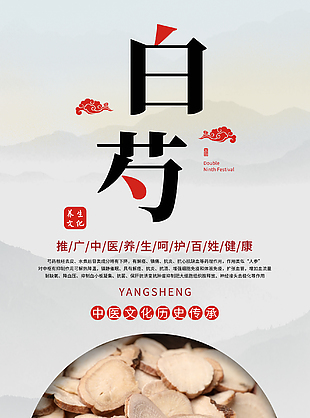 養生文化白芍藥理知識宣傳海報