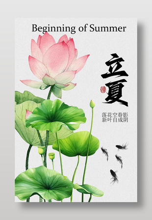 立夏荷花綻放傳統二十四節氣海報