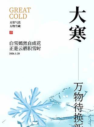 簡約雪花元素大寒節氣海報設計