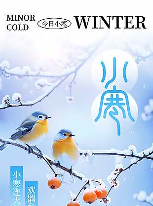 喜鵲枝頭今日小寒藍色節氣海報設計