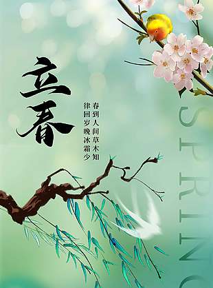 自然清新立春節(jié)氣宣傳簡約海報設計