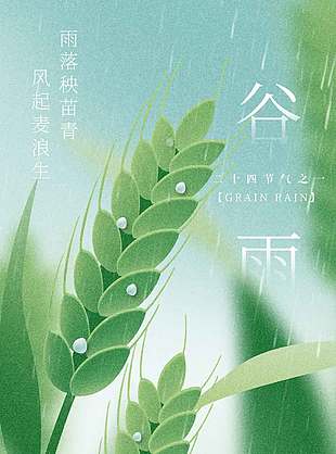 雨落秧苗青谷雨时节传统节气海报