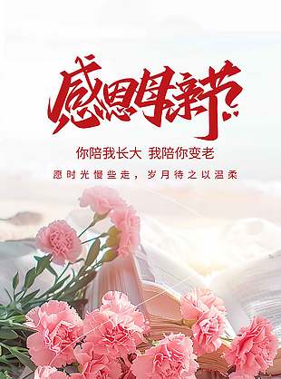 感恩母親節(jié)康乃馨花束實(shí)拍背景海報(bào)