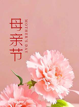簡(jiǎn)約母親節(jié)康乃馨花束裝飾背景海報(bào)