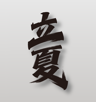 立夏簡(jiǎn)約手寫字體設(shè)計(jì)