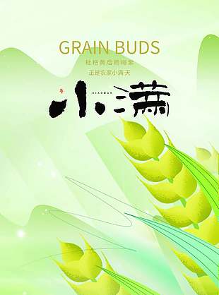 小滿節(jié)氣宣傳麥穗插畫綠色背景海報(bào)