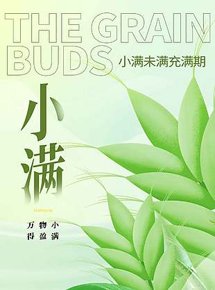小滿節(jié)氣綠色麥穗插畫簡(jiǎn)約宣傳海報(bào)