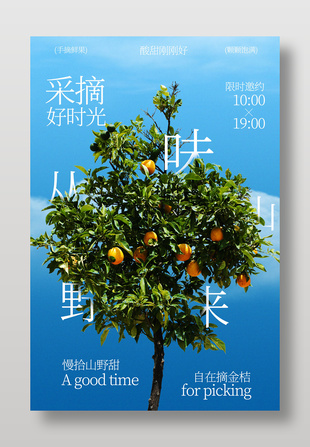 田園橘子采摘活動邀約海報設(shè)計