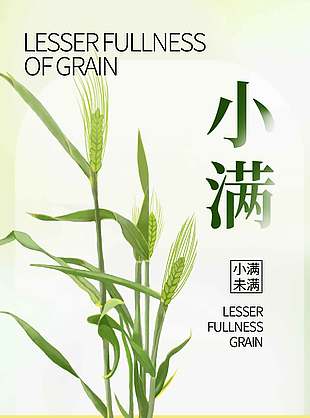 小滿(mǎn)時(shí)節(jié)傳統(tǒng)節(jié)氣宣傳簡(jiǎn)約插畫(huà)風(fēng)海報(bào)