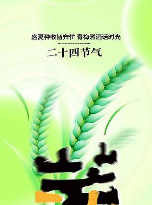芒種節(jié)氣宣傳彌散風(fēng)簡(jiǎn)約視覺(jué)感海報(bào)