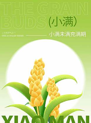種植收獲小滿(mǎn)節(jié)氣宣傳綠色創(chuàng)意海報(bào)