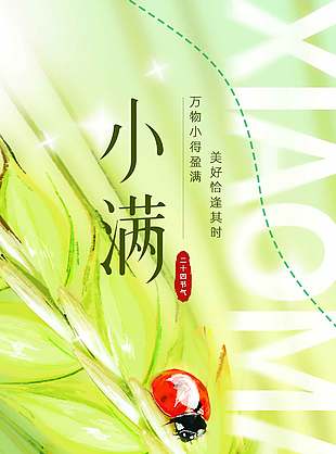 美好恰逢其時(shí)小滿(mǎn)節(jié)氣手繪風(fēng)海報(bào)設(shè)計(jì)