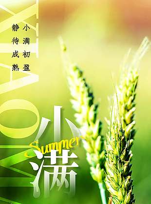 簡(jiǎn)約小滿節(jié)氣攝影風(fēng)綠色海報(bào)設(shè)計(jì)