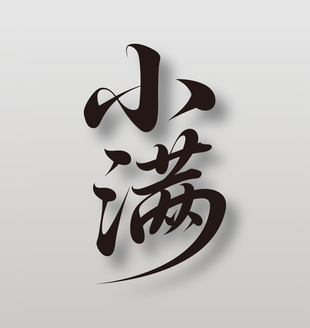 二十四節(jié)氣之小滿手寫字體設(shè)計