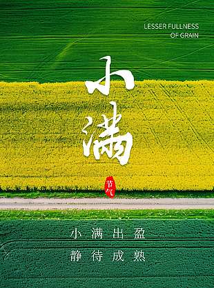 小滿出盈田野背景攝影風海報設計