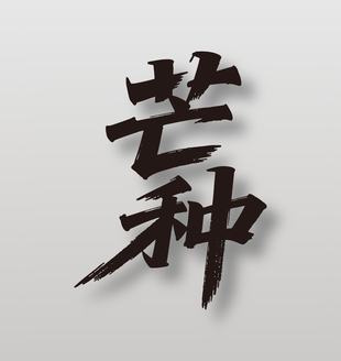 二十四節(jié)氣芒種手寫字體設(shè)計