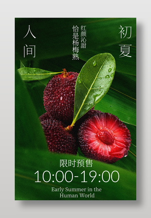 初夏新鮮楊梅上市預(yù)售海報(bào)設(shè)計(jì)